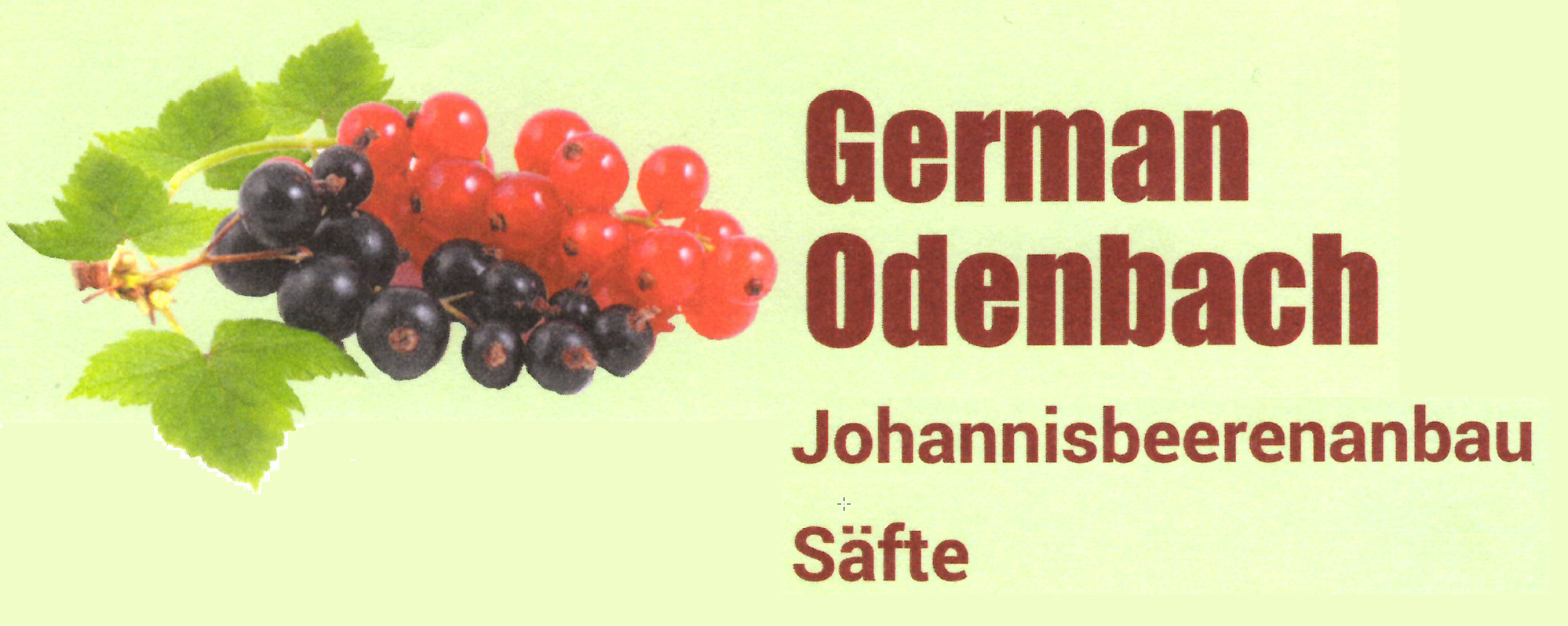 German Odenbach Johannisbeerenanbau und Säfte